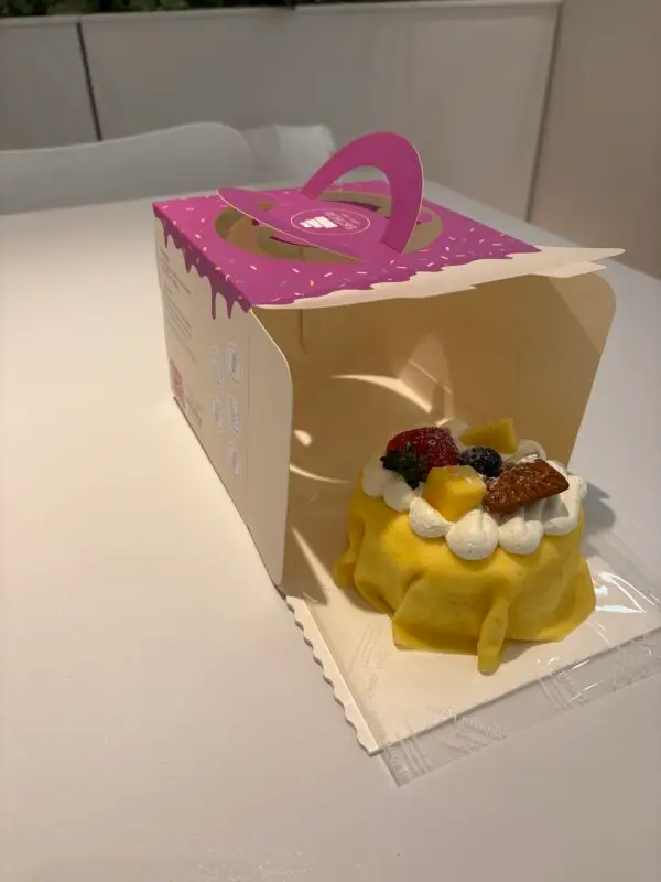 pink drip bento cake box with handle and mini fruit cake