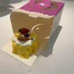 custom mini cake box front panel open side view